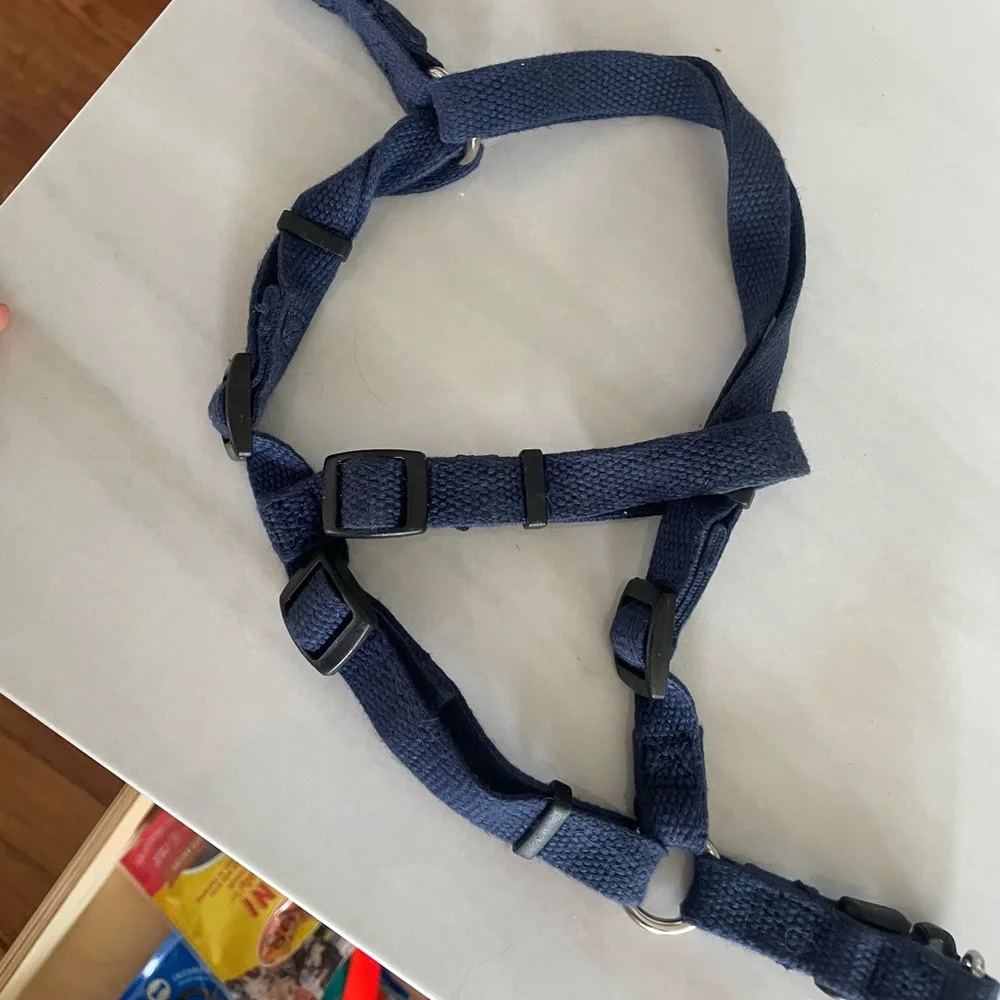 Navy Puppy Harness